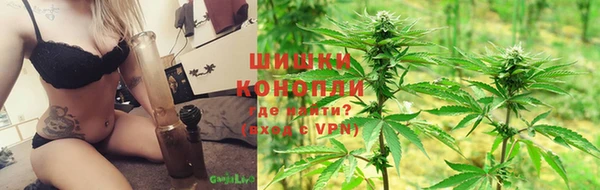 ГАЛЛЮЦИНОГЕННЫЕ ГРИБЫ Балабаново