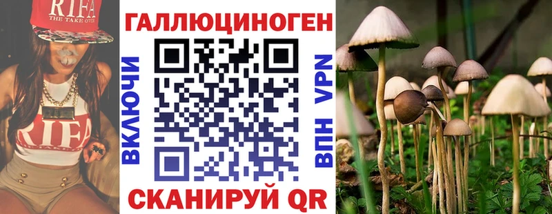 Галлюциногенные грибы MAGIC MUSHROOMS  Черняховск 
